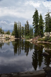 An idyllic pond