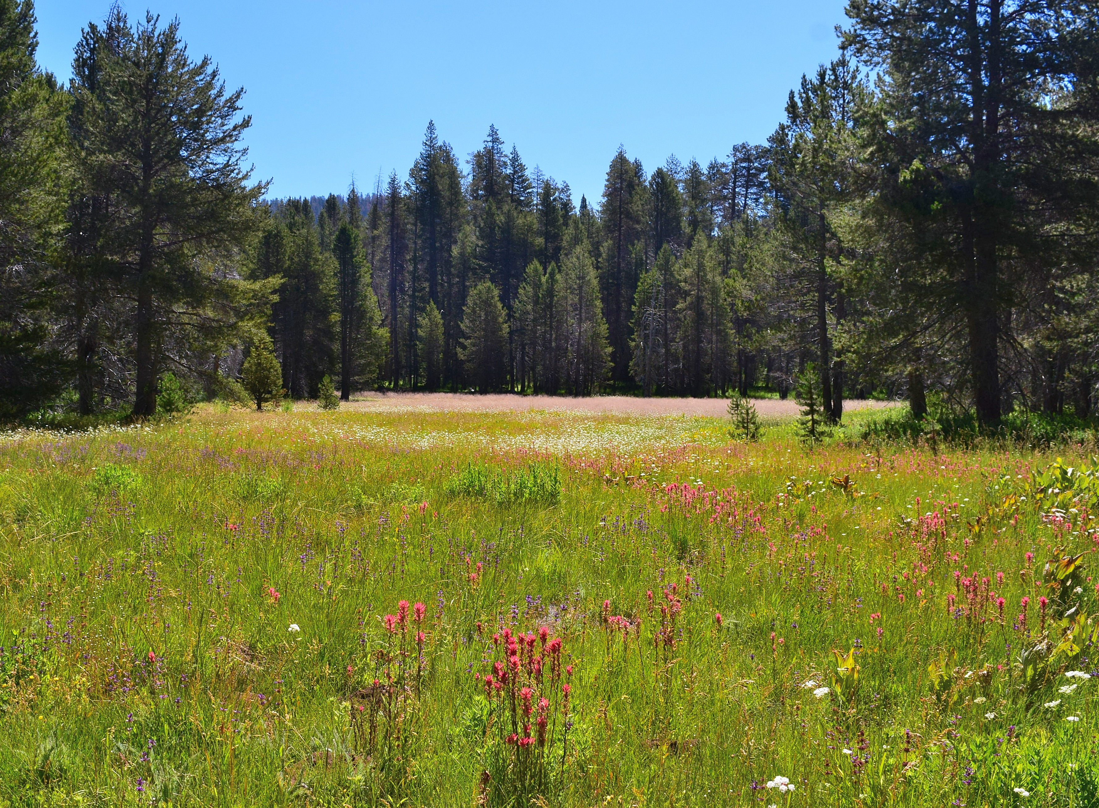 Yosemite:  Plan A